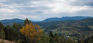 Karpatlar 'da sonbahar manzarası