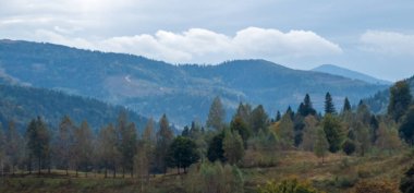 Karpat Dağları. Dağlardaki sonbahar ormanı