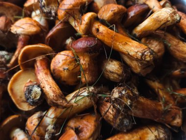 Sepetteki mantarlar.