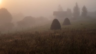 Güzel sonbahar manzarası dağlarda