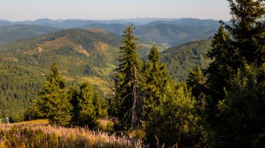 Dağların güzel manzarası