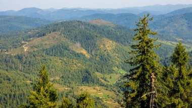 Karpat Dağlarının güzel manzarası
