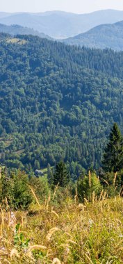 Karpat Dağlarının güzel manzarası