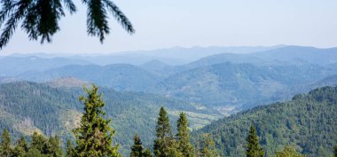 Ormandaki dağların manzarası