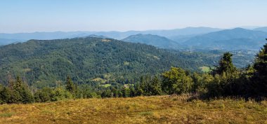 Yeşil orman ve dağlarla dolu yaz manzarası