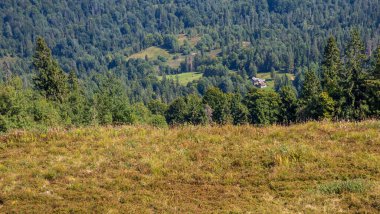 Arka planda orman olan güzel dağ manzarası