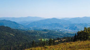 Yaz dağı manzarası. Karpat Dağları.