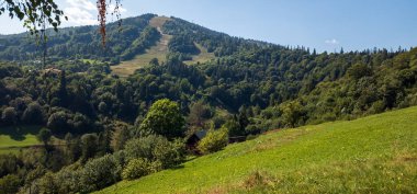 Ormanda yeşil çimenler olan güzel dağ manzarası