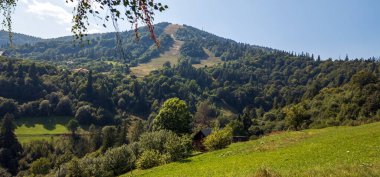Karpat dağlarındaki dağ vadisi ve yeşil otlar