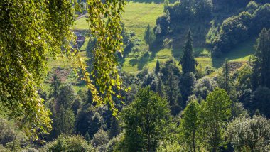 Karpat Dağları'nın güzel manzara