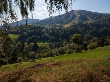 Güzel dağ manzarası. Karpat, Ukrayna