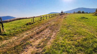 Karpat dağlarında bir patika