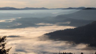 Sis dolu sisli bir sabah