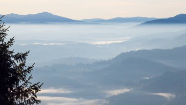 Karpatlarda sabah sisi