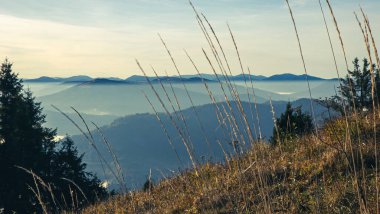 Sonbaharda bir dağın tepesinden manzara
