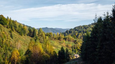 Ağaçlar ve ormanlarla dolu sonbahar manzarası
