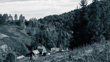 Karpatlar 'daki ahşap kulübenin siyah ve beyaz görüntüsü.