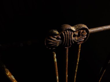 Bir ahşap kapının yakın çekimi.