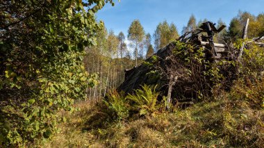 Güneşli bir sonbahar gününde terk edilmiş eski bir ev