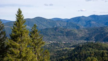 Ağaçlı güzel dağ manzarası