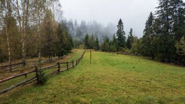 Karpat dağında sonbahar