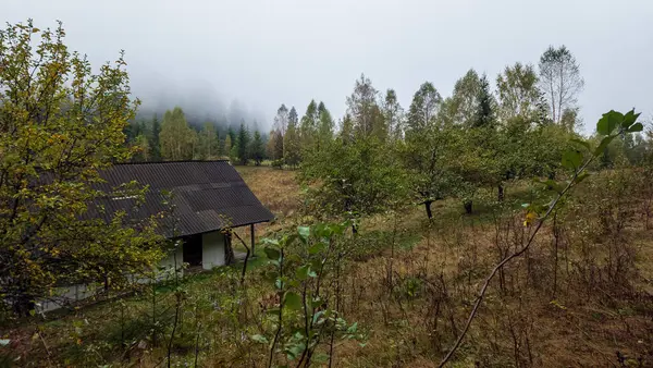 Ahşap bir evi olan sonbahar manzarası