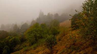 Güzel sonbahar manzarası. Doğa
