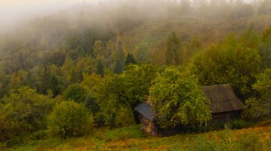 Karpat Dağları'nda sonbahar sabahı