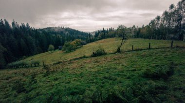 Ukrayna 'daki Karpat Dağları' ndaki dağ manzarası