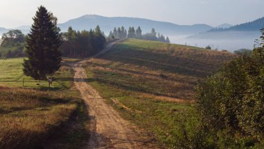 karayolu ile alanlar