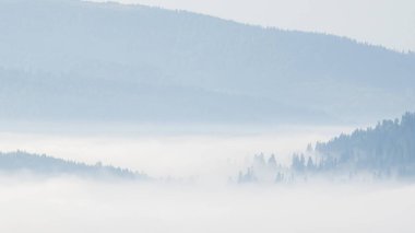 Dağlarda sisli bir sabah