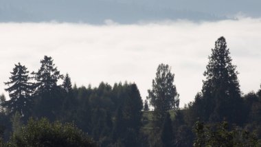 Dağlarda ağaçlar ve bulutlar