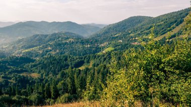 Dağlarda yeşil ormanları olan güzel yaz manzarası.