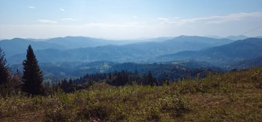 Karpatlar 'da yaz manzarası, Ukrayna