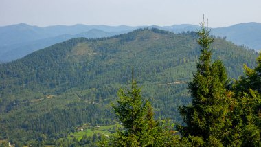 paesaggio estivo nelle montagne dei Carpazi