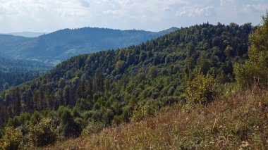 Dağ sırası, orman ve mavi gökyüzü