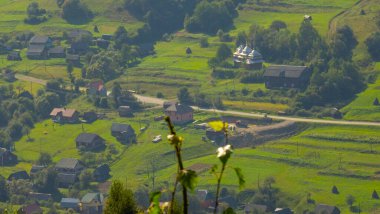 Karpat Dağları 'ndaki güzel yaz manzarası, Ukrayna