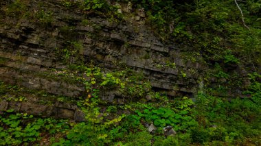 Dağların güzel manzarası