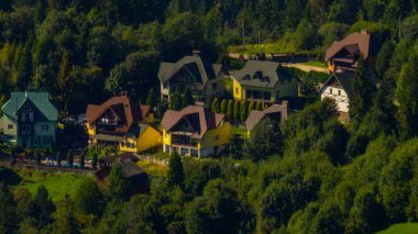 Ormanın güzel manzarası