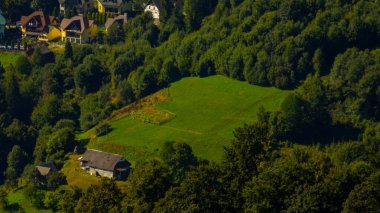 Yeşil orman havadan görünümü