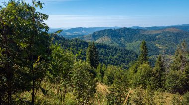 Ukrayna Karpatlar 'ında yaz manzarası.