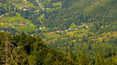 Avusturalya Alplerindeki Ielech köyü.