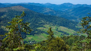 Ukrayna Karpatlarında yeşil dağlar. Yaz. Hava İHA 'sı.