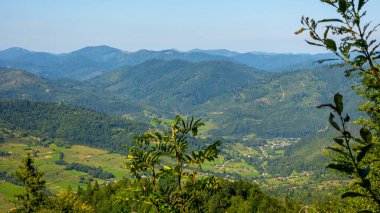 Yazın Karpat Dağları