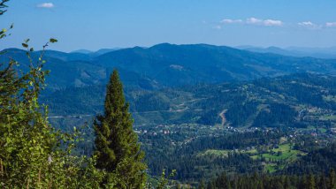 Karpatlar 'daki güzel dağ manzarası