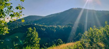 Dağlarda dağ nehri olan güzel bir manzara.