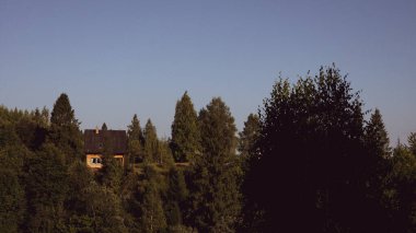 Ormanın güzel manzarası