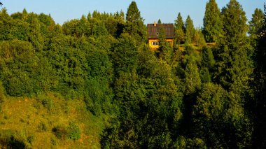 Ormanda yeşil bir ev.