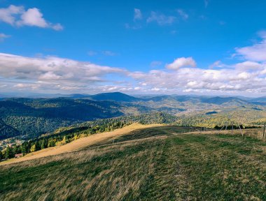 Yeşil çimlerin ve mavi gökyüzünün güzel bir görüntüsü.