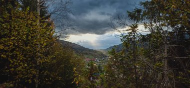 Dağlarda bir ağaçla sonbahar manzarası